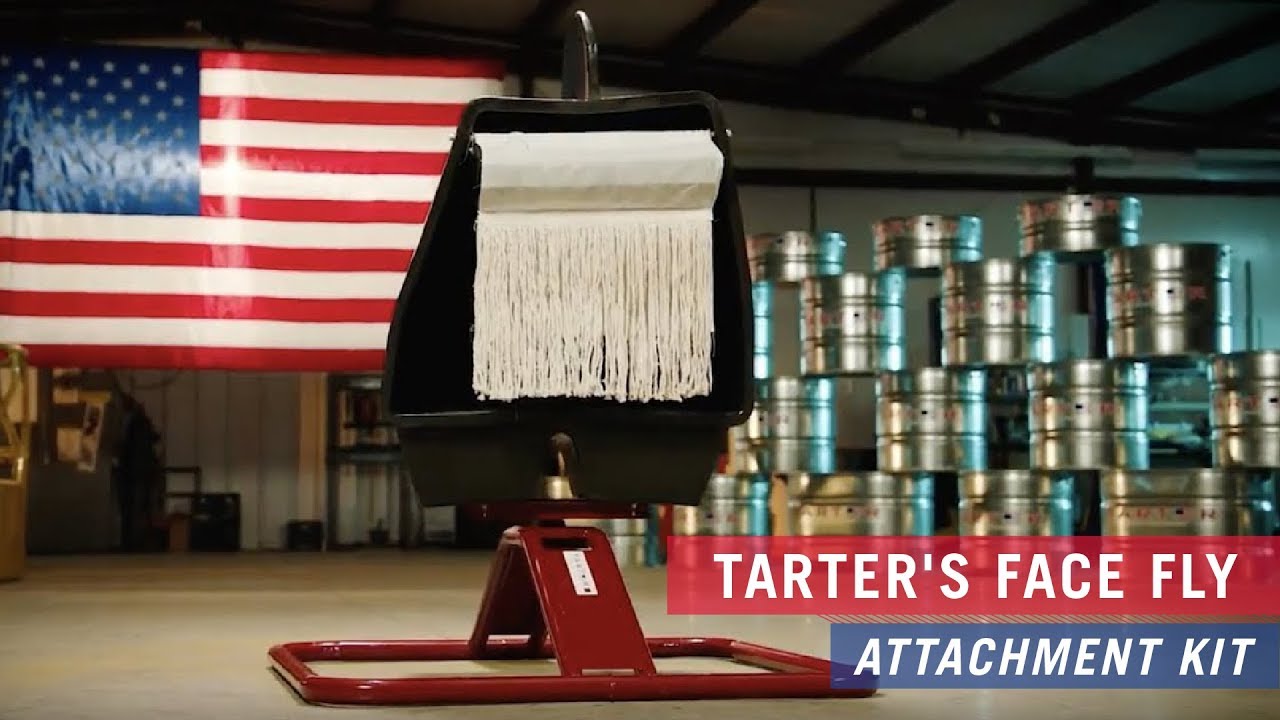 Face Fly Applicator Kit