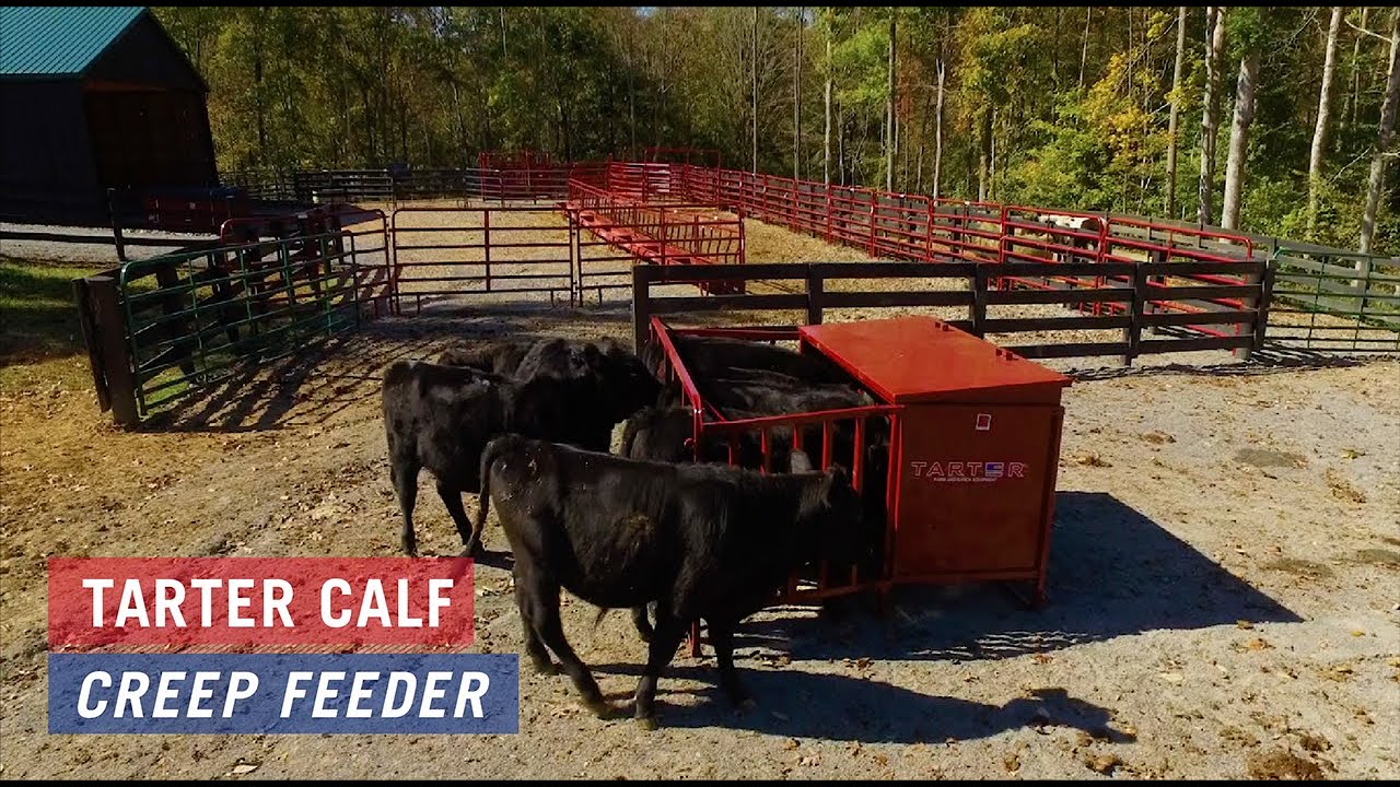 Calf Creep Feeder 650