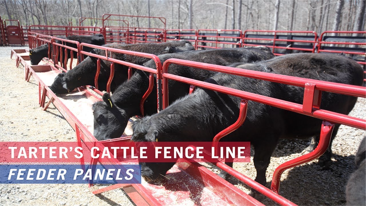 Fence Line Feeder Panel W/ Hay Saver