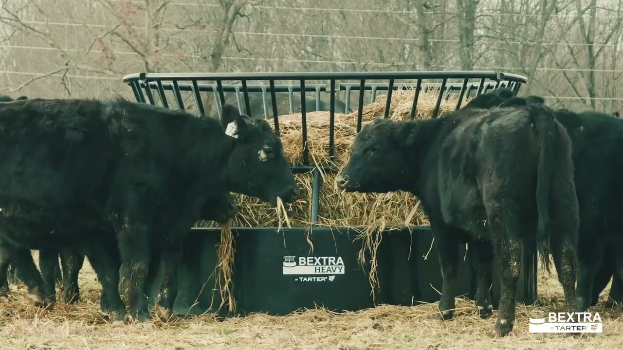 Bextra Heavy Feeders