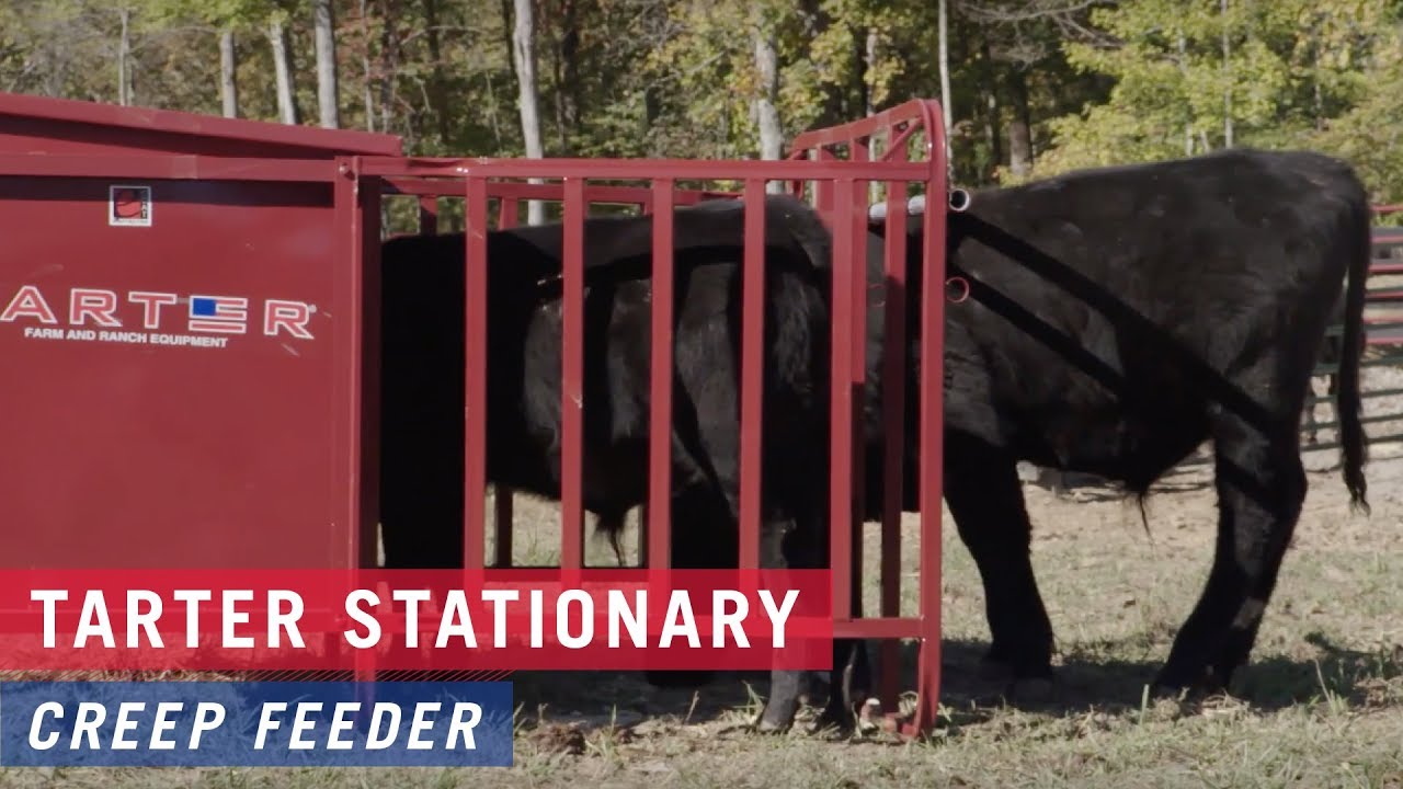 Calf Creep Feeder 1000