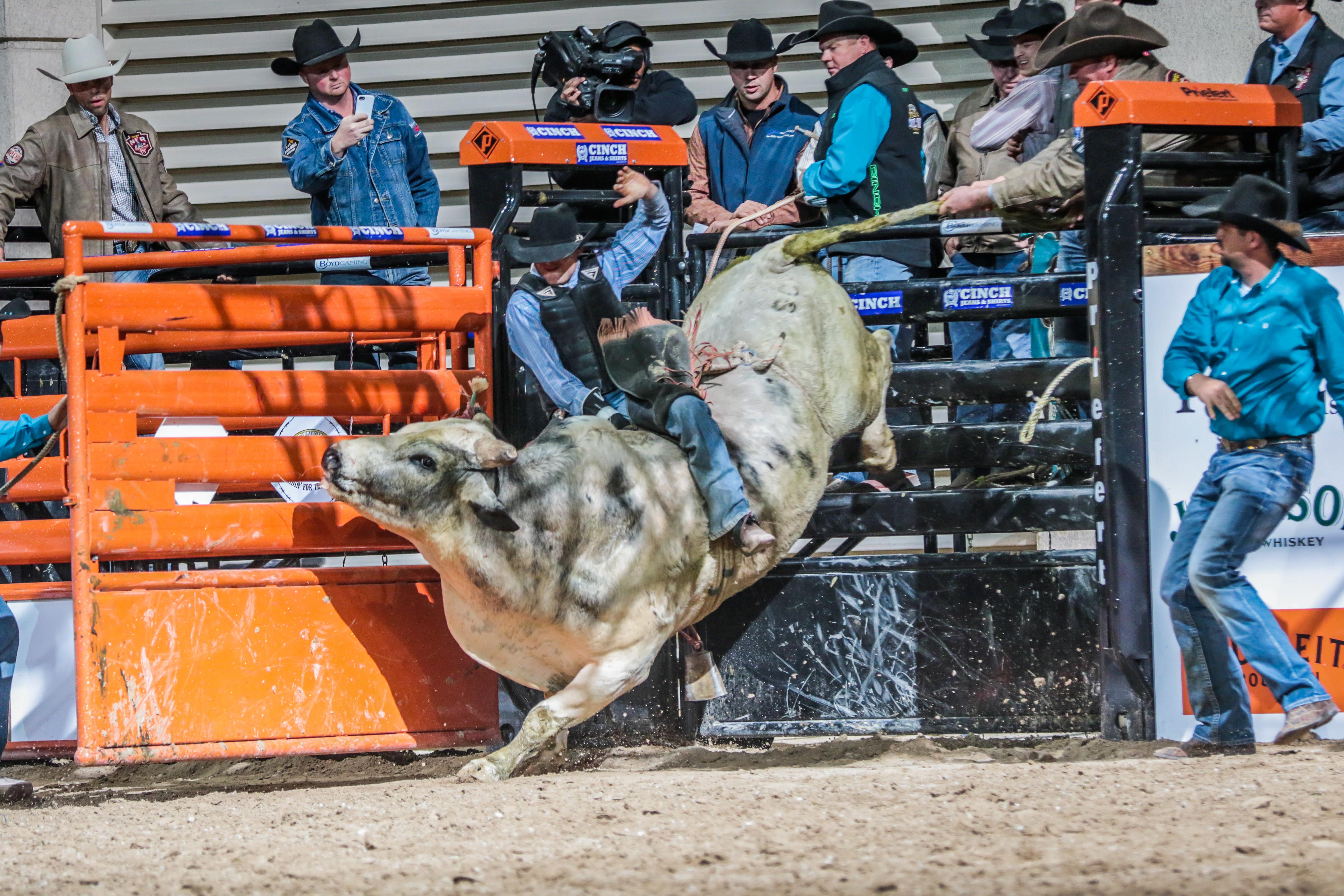 Bucking Chute