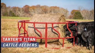 Titan Cattle Feeder With Hay Saver