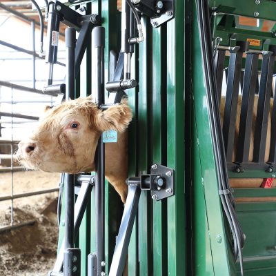 The General Hydraulic Cattle Chute