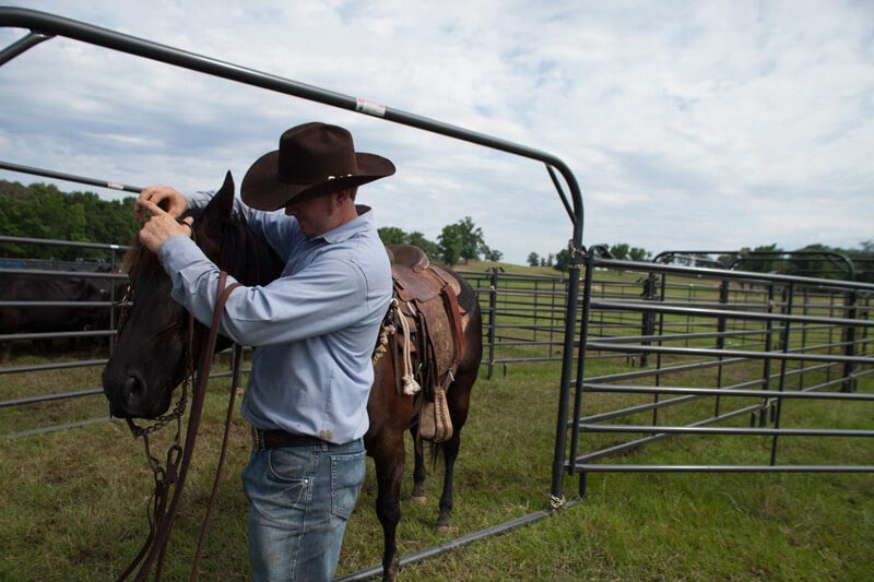 8' Premier Free Swing Bow Gate