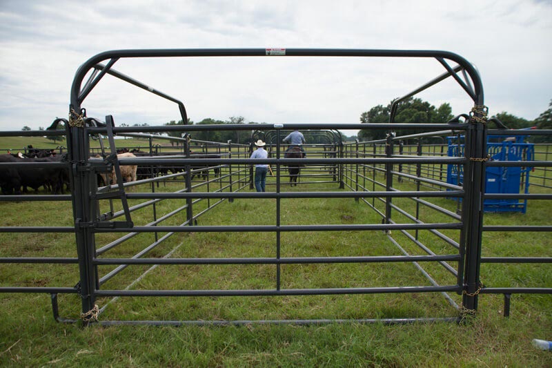 8' Premier Free Swing Bow Gate