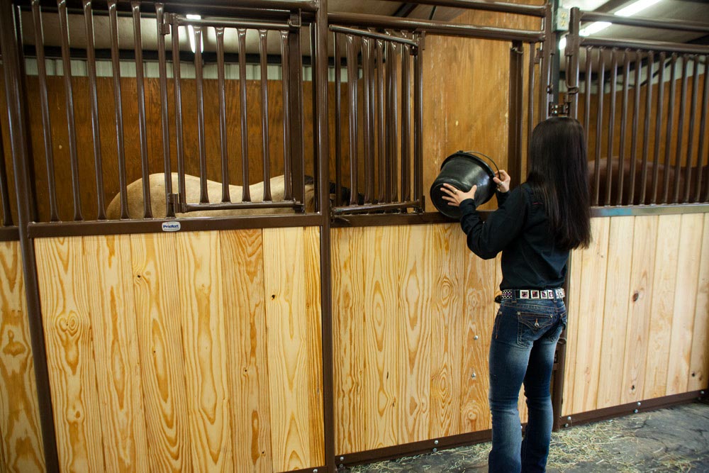 Premier Horse Stall Window