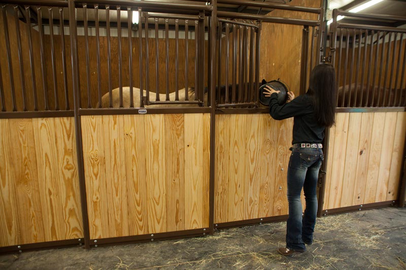 Premier Stall Wood Kits