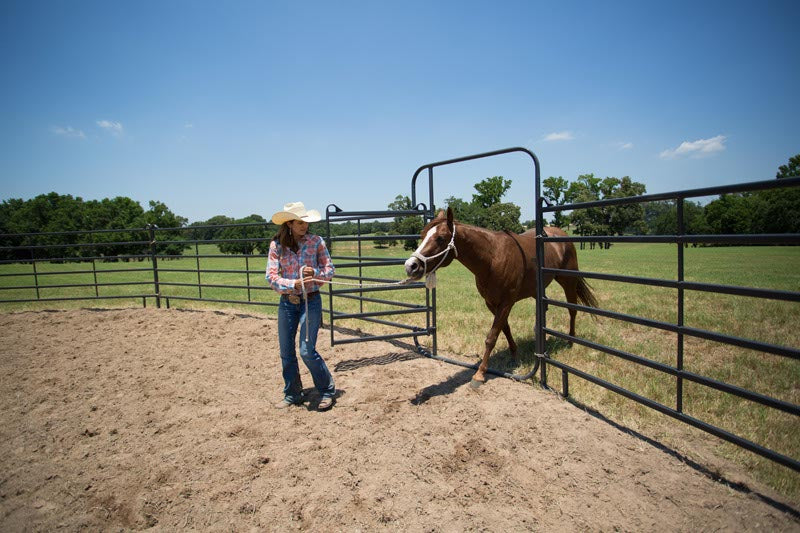 Premier Walk Thru Panels