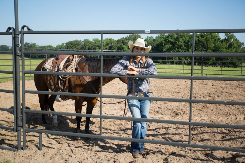 6' Tall Premier Panels