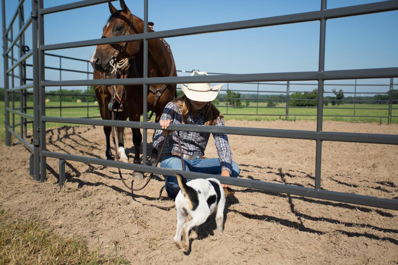 6' Tall Premier Panels