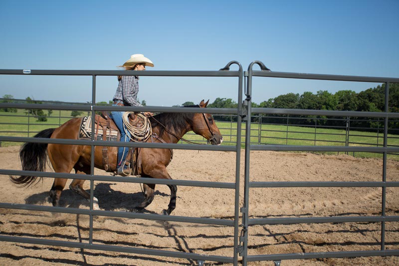 6' Tall Premier Panels