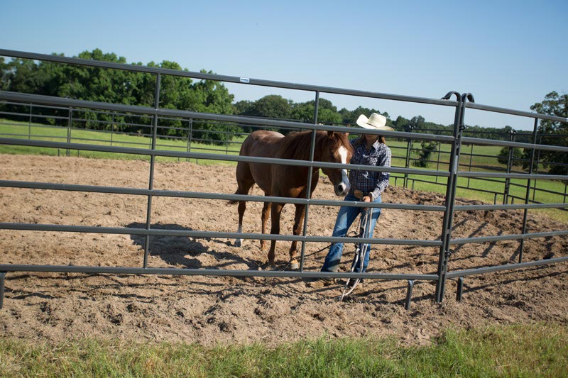 6' Tall Premier Panels