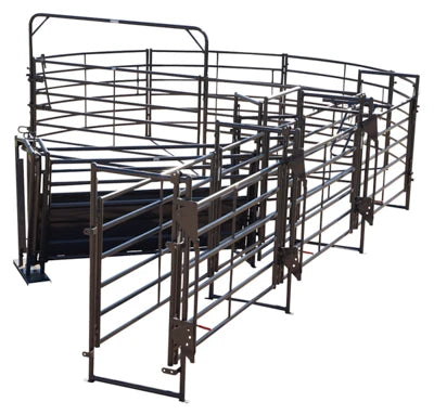 180 Degree Sweep w/ 24' Adj Alley & Calf Sort Alley