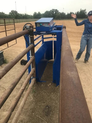 Automatic Calf Roping Chute