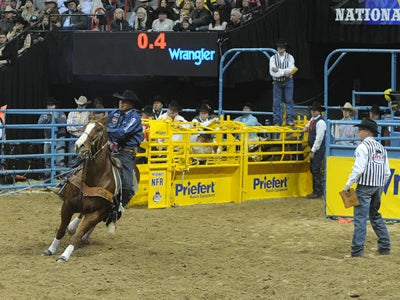 Competition Roping Chute Add-on Section
