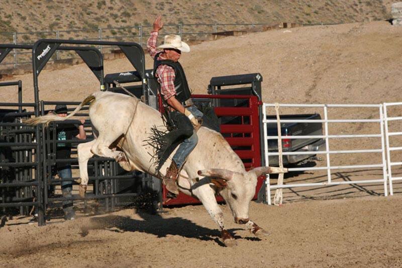 Bucking Chute
