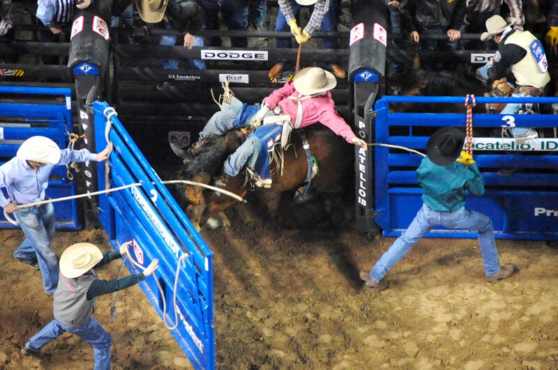 Bucking Chute Sets