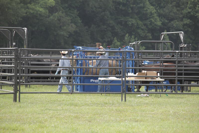 Rough Stock Arena Panels