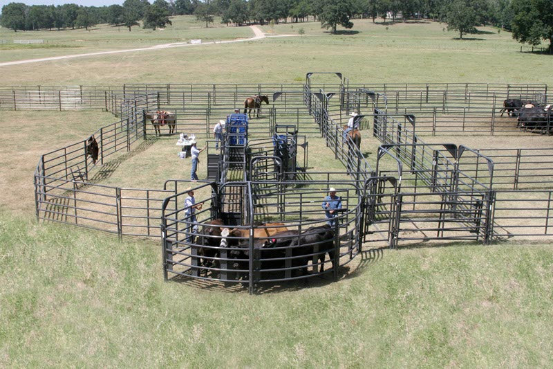 Rough Stock Open Bow Gate