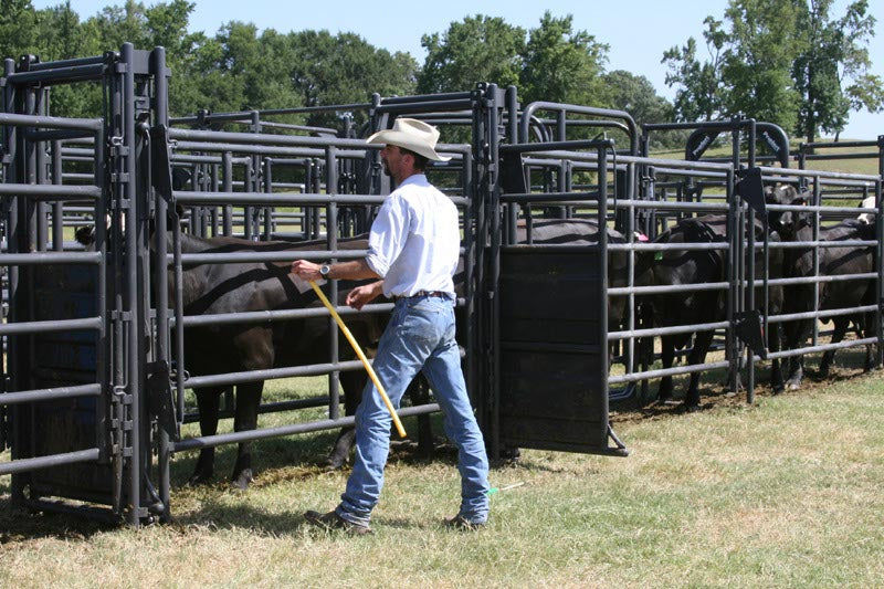 Sweep w/34' Adj. Alley, 90 Degree Turn, Preg Panels, Block & Load Gates
