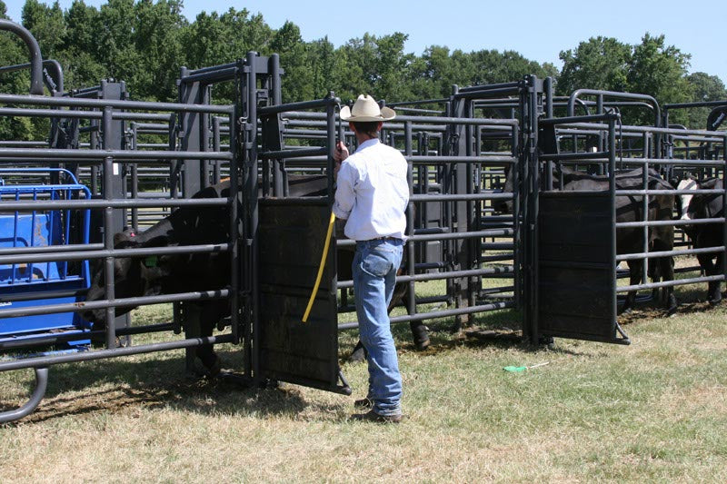 Sweep w/30' Adj. Alley, Sort Alley, Preg Panels, Block & Load Gates