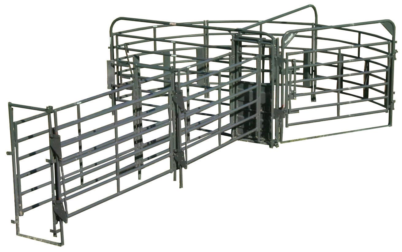 Sweep w/20' Adj. Alley, Block & Load Gates