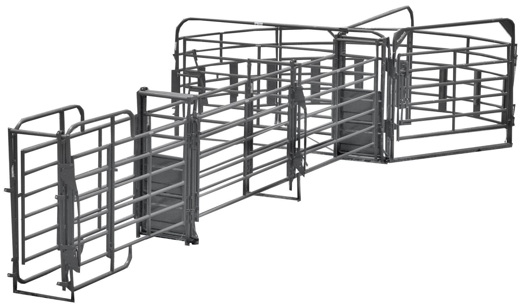 Sweep w/30' Adjustable Alley, Preg Panels, Block Gates & Load Gate