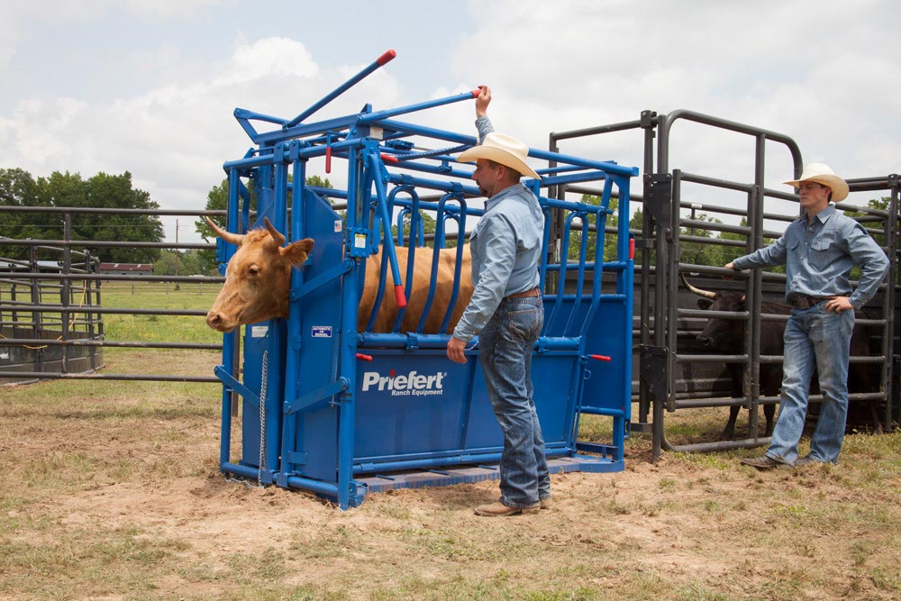 Squeeze Chutes - Model S0191