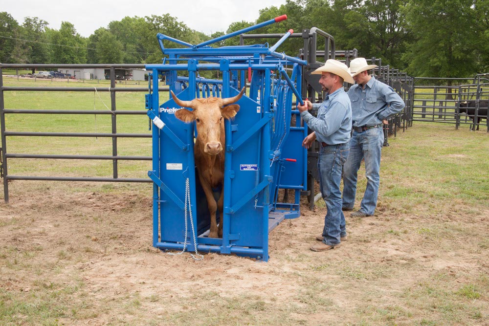 Squeeze Chutes - Model S0191