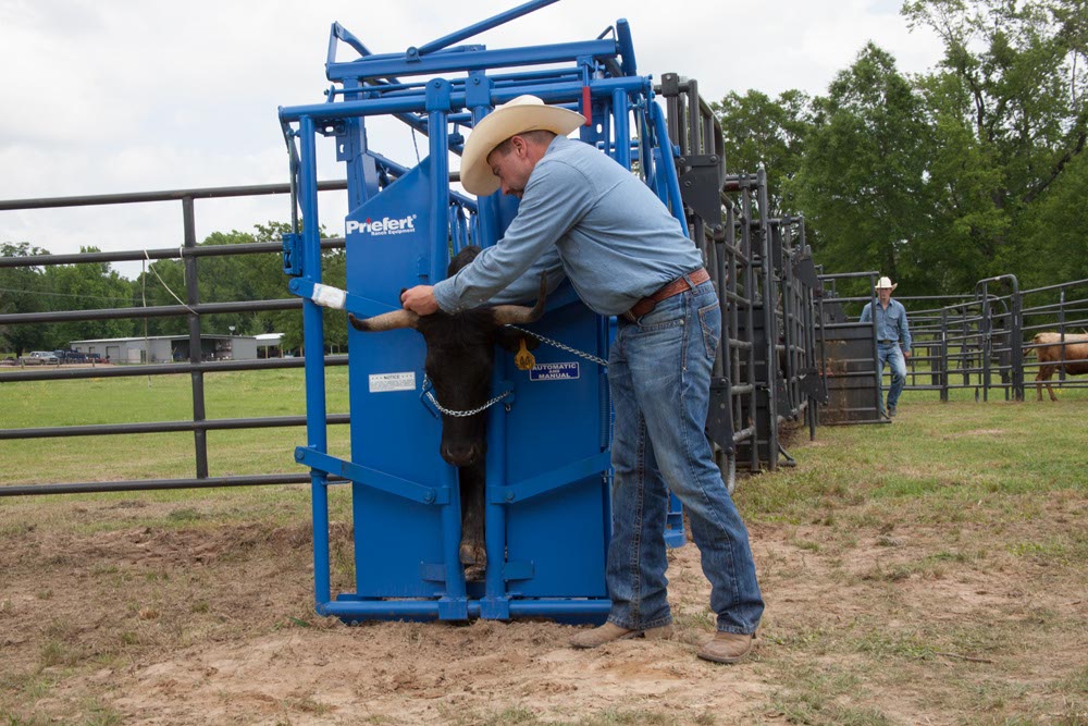 Squeeze Chutes - Model S0191