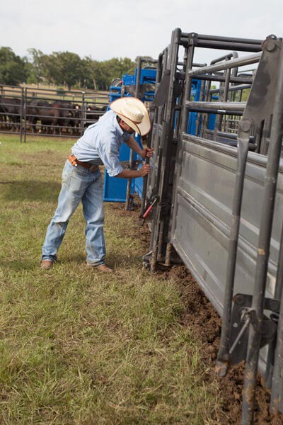 10' Sheeted Alley Panel