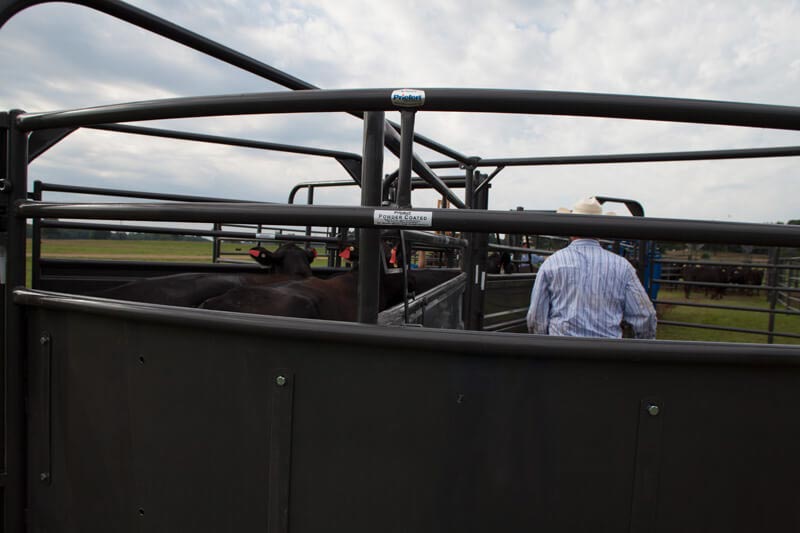 Solid Sweep Radius Bow