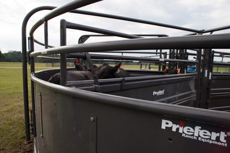 Solid Sweep Radius Bow