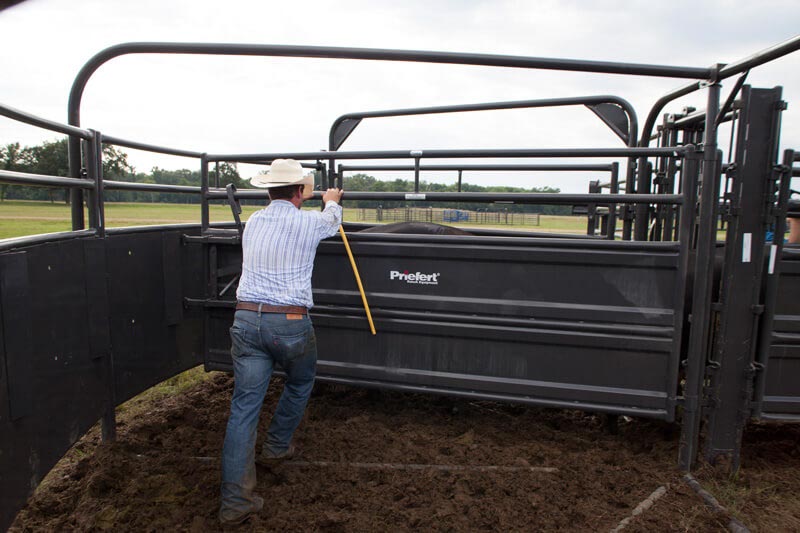 Solid Sweep Radius Bow