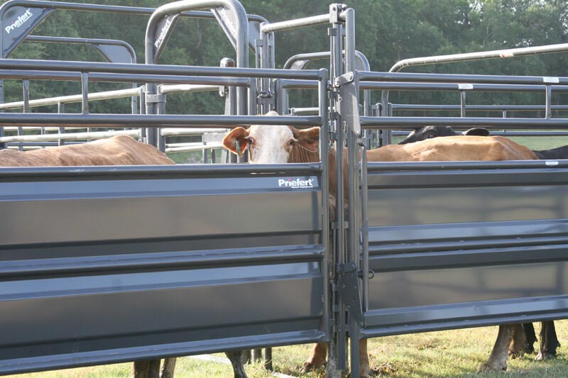 20' Sheeted Adjustable Alley w/Alley Gate & Preg Panels