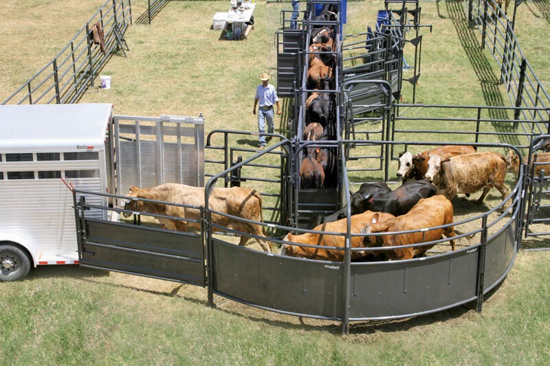 Sweep w/34' Adj. Alley, 90 Deg. Turn, Preg Panels, Blocking Gates & 8' Sorting Gate