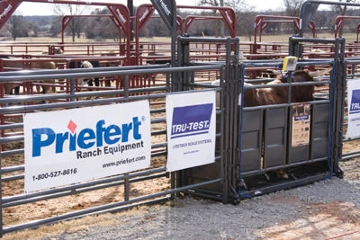 Rough Stock Sheeted Panels